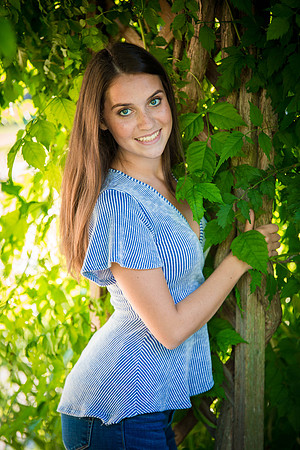 Analise-6735-2